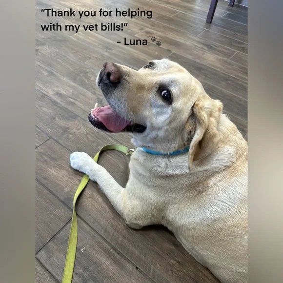 Belladonna Maxi Dress in Cottage Witch Toile Print NWT XL - Picture 10 of 10